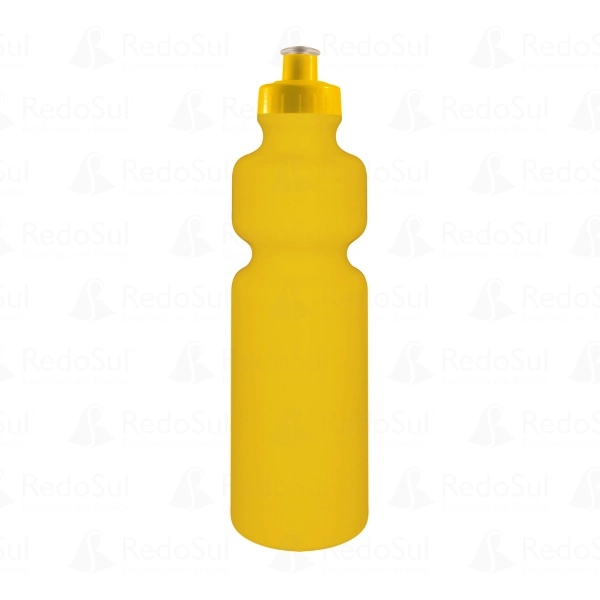 Squeeze personalizado Corpo Colorido 750 ml